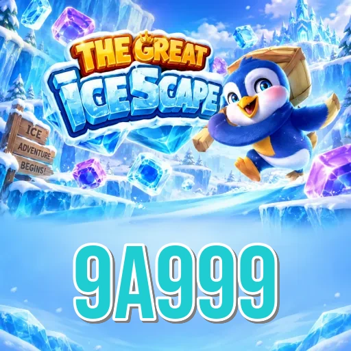 9a999 Install FAQ