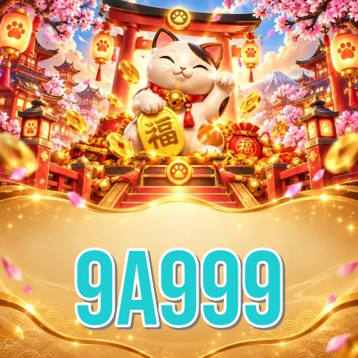 Developer Info 9a999